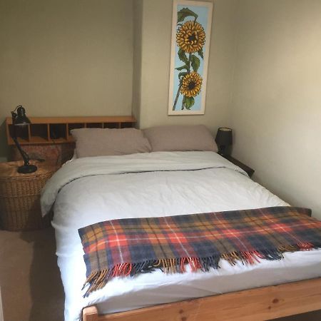 فيلا Cynfaen House كورين المظهر الخارجي الصورة